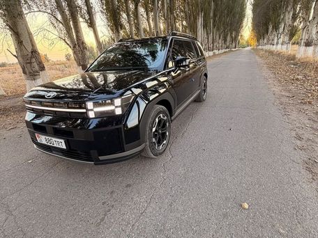 Hyundai Santa Fe, 2024 — 照片 3