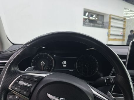 Hyundai Genesis, 2019 — photo 12