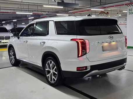 Hyundai Palisade, 2020 — фото 2