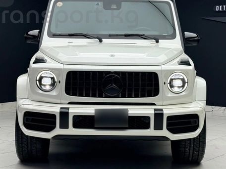 Mercedes-Benz G-Класс AMG, 1993 — фото 2