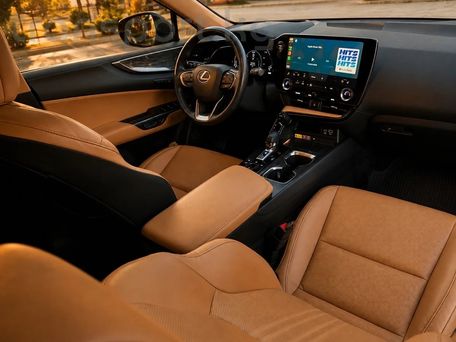 Lexus NX, 2023 — фото 10