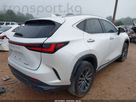 Lexus NX, 2022 — сүрөт 4