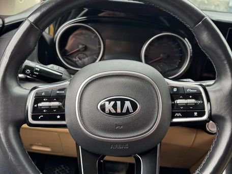 Kia Carnival, 2021 — фото 4