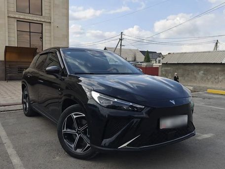Hozon Neta L, 2024 — 照片 1