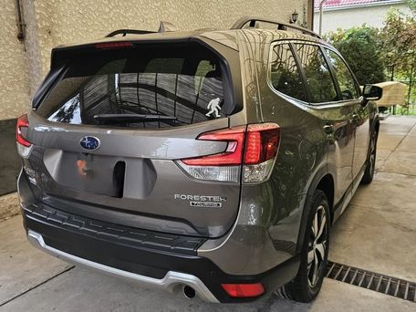 Subaru Forester, 2020 — фото 4