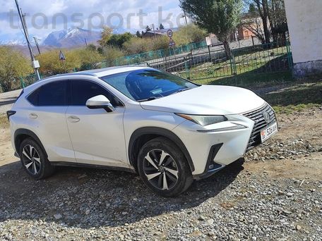 Lexus NX, 2019 — photo 4