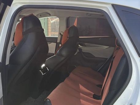 Weltmeister EX5, 2020 — photo 8