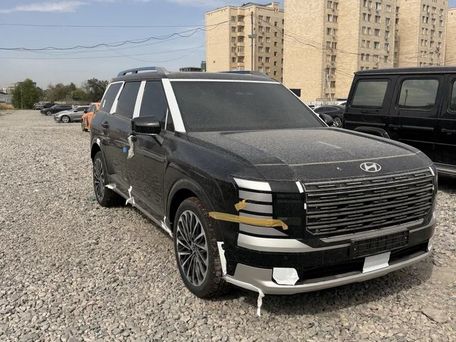 Hyundai Palisade, 2026 — фото 3