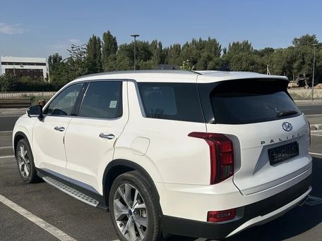 Hyundai Palisade, 2019 — фото 4