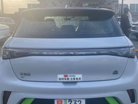 BYD Dolphin, 2022 — 照片 6