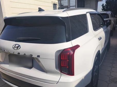 Hyundai Palisade, 2019 — сүрөт 2