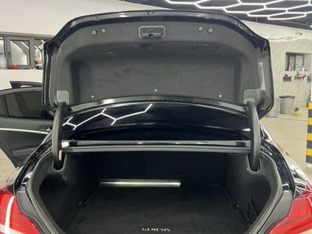 Hyundai Genesis, 2019 — photo 13
