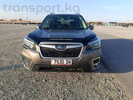 Subaru Forester, 2021 — фото 10