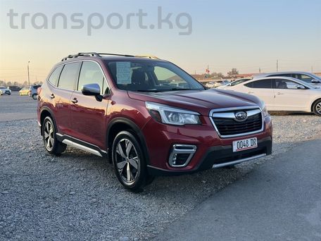 Subaru Forester, 2019 — photo 1