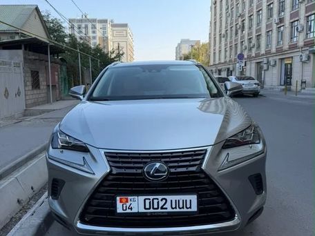 Lexus NX, 2021 — сүрөт 1