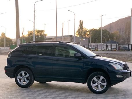 Lexus RX, 2003 — 照片 8