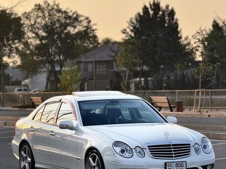 Mercedes-Benz E-Класс, 2008 — фото 1