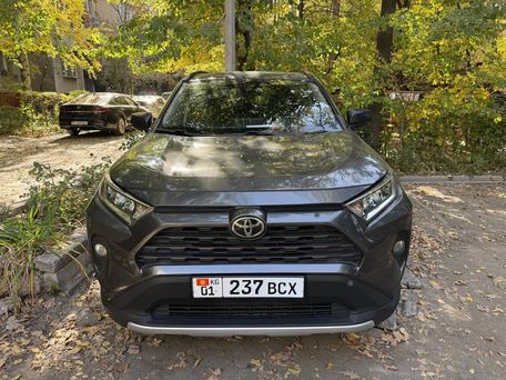 Toyota RAV4, 2019 — фото 3
