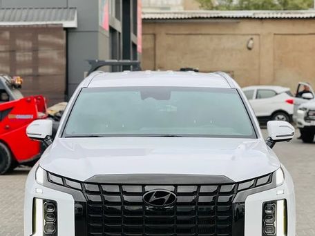 Hyundai Palisade, 2022