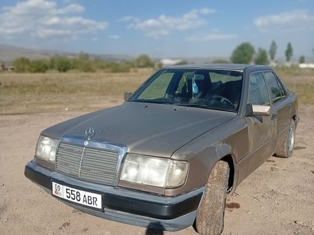 Mercedes-Benz W124, 1992 — 照片 6