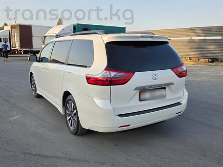 Toyota Sienna, 2019 — сүрөт 4