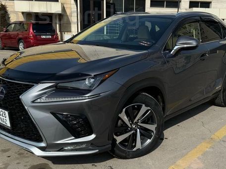 Lexus NX, 2021 — фото 1