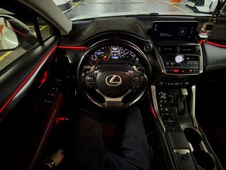Lexus NX, 2020 — сүрөт 11