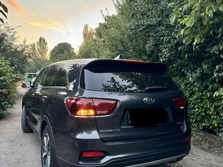Kia Sorento, 2019 — фото 10