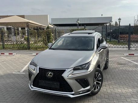 Lexus NX, 2018
