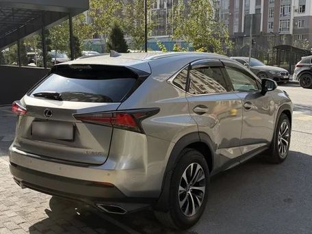 Lexus NX, 2019 — photo 6