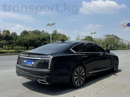 Cadillac CT6, 2023 — фото 9