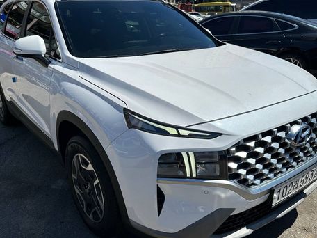 Hyundai Santa Fe, 2021 — 照片 6