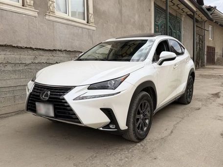 Lexus NX, 2018 — фото 2