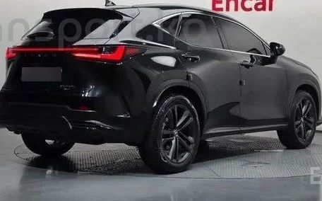 Lexus NX, 2021 — фото 2