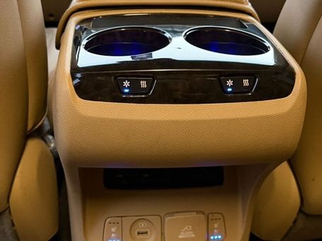 Kia Carnival, 2019 — фото 13