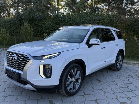 Hyundai Palisade, 2020 — photo 3