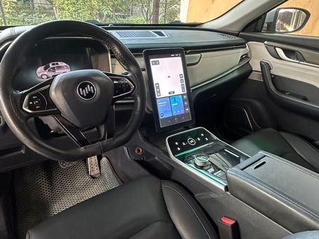 Weltmeister EX5, 2021 — photo 9