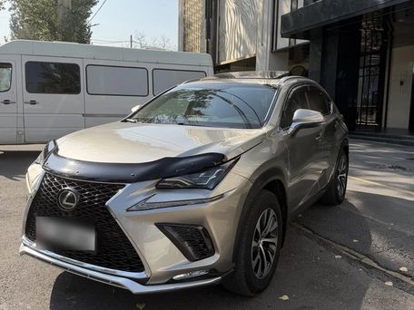 Lexus NX, 2019 — сүрөт 1