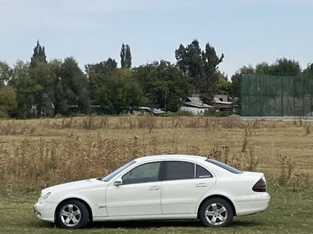 Mercedes-Benz E-Класс, 2003 — photo 3