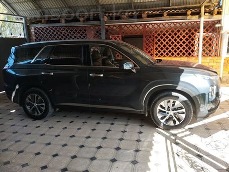 Hyundai Palisade, 2019 — 照片 11