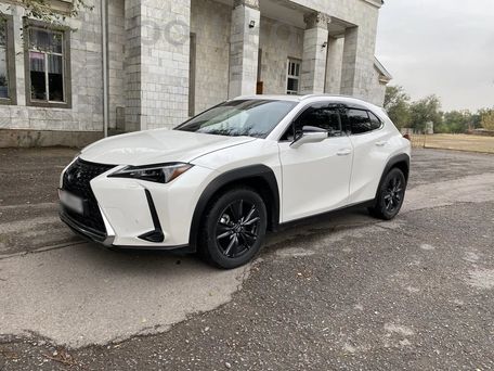 Lexus UX, 2023 — фото 1