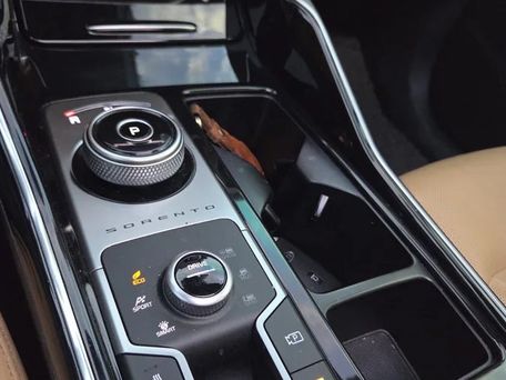 Kia Sorento, 2020 — photo 10