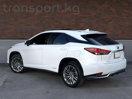 Lexus RX, 2022 — photo 6