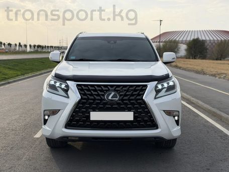 Lexus GX, 2020 — фото 1