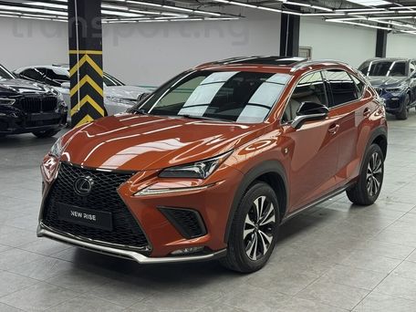 Lexus NX, 2021 — фото 3