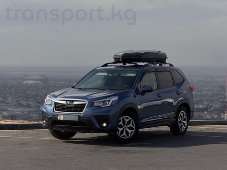 Subaru Forester, 2019 — фото 1