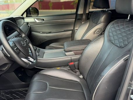 Hyundai Palisade, 2019 — photo 12