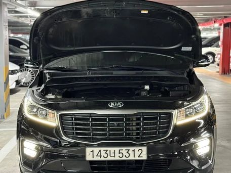 Kia Carnival, 2019 — photo 7