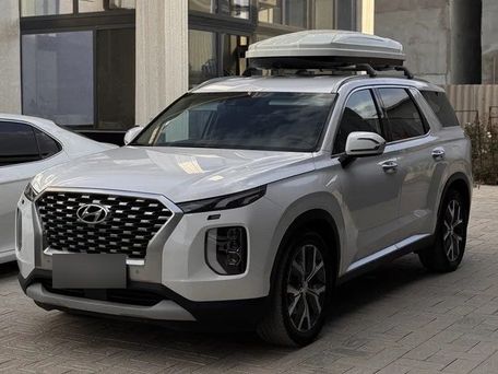 Hyundai Palisade, 2024 — фото 1