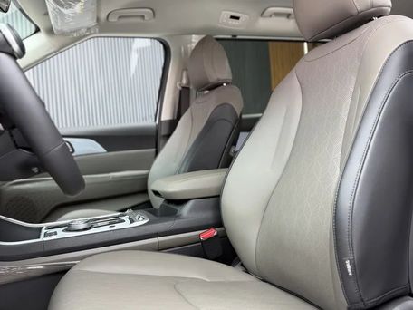 Kia Carnival, 2025 — photo 6